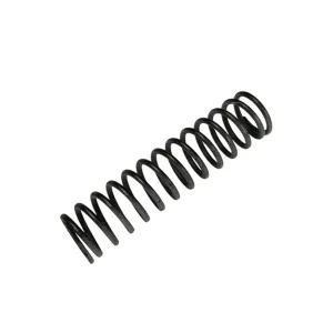 026.09.021.00.00 - Muelle Regulación 250/300 cc