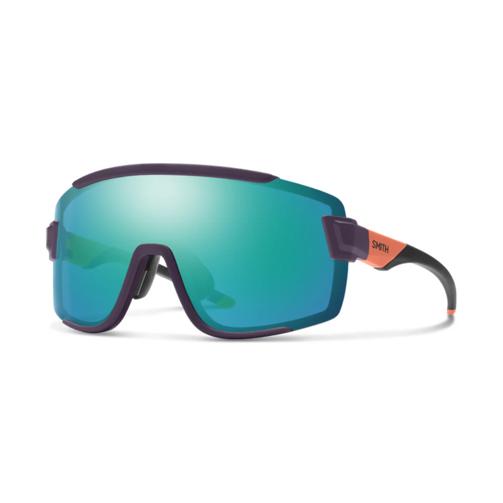 Gafas Smith Wildcat - Imagen 8