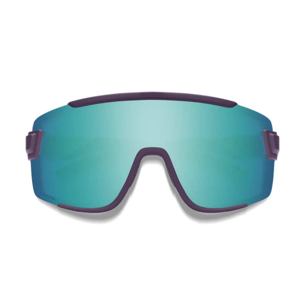 Gafas Smith Wildcat - Imagen 9