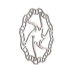 Disco de freno Ashima Aro-08 160 mm