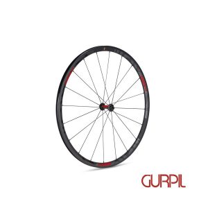 Rueda Gurpil GTR RR17 delantera
