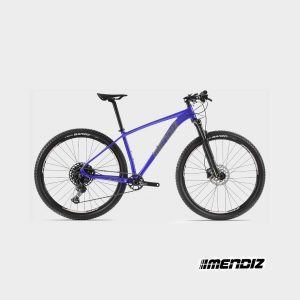 Bicicleta Mendiz X10.09