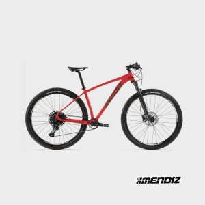 Bicicleta Mendiz X10.11